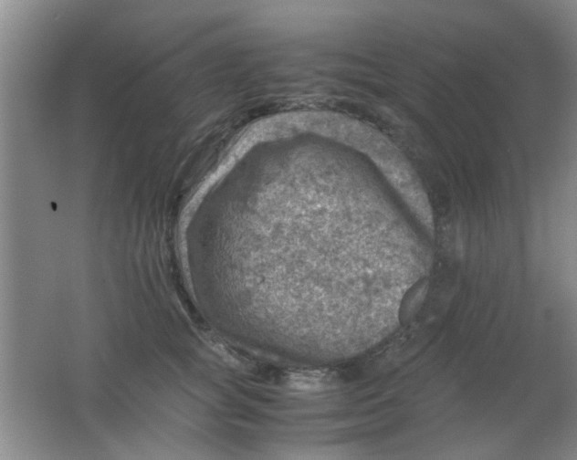 X0000062130757200512231438