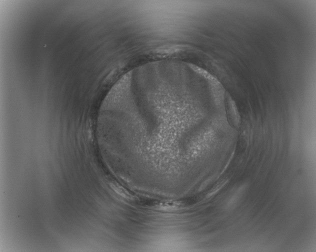 X0000062130758200512231438