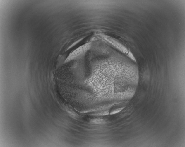 X0000062130759200512231438