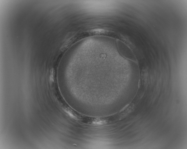 X0000062130760200512231438