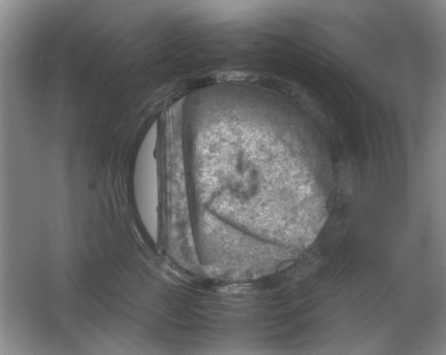 X0000062130761200512231438