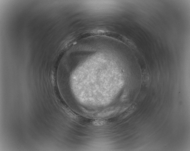 X0000062130762200512231438