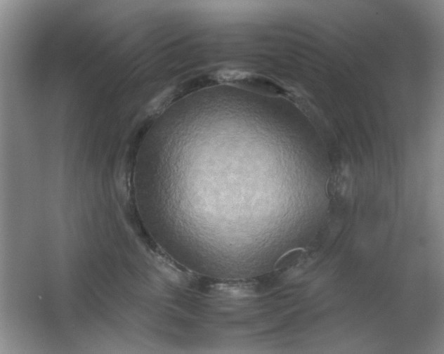 X0000062130763200512231438