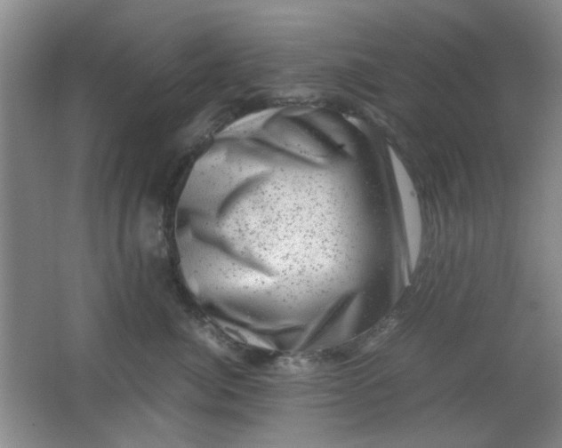 X0000062130764200512231438