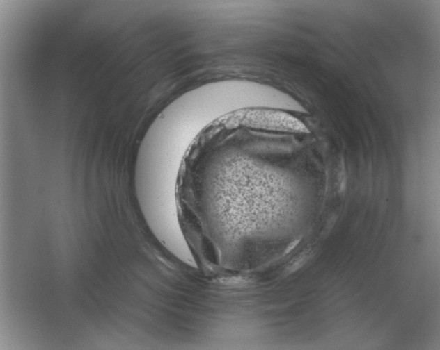 X0000062130766200512231438