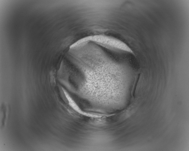 X0000062130768200512231438