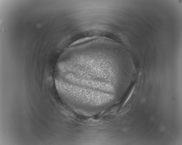 X0000062130771200512231437