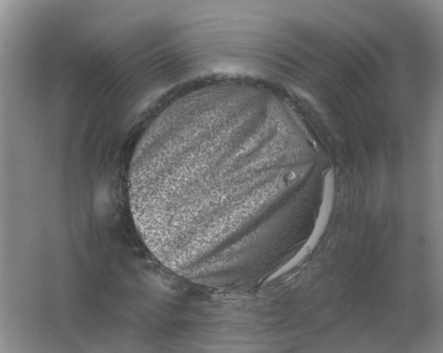 X0000062130776200512231437