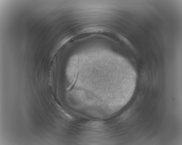 X0000062130778200512231437