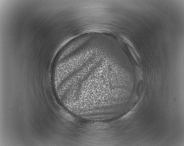 X0000062130779200512231437