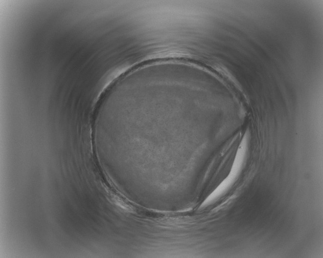 X0000062130781200512231437