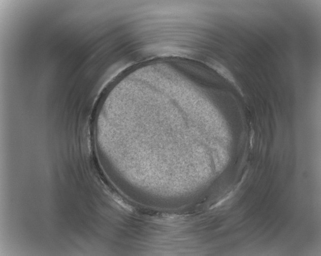 X0000062130782200512231437