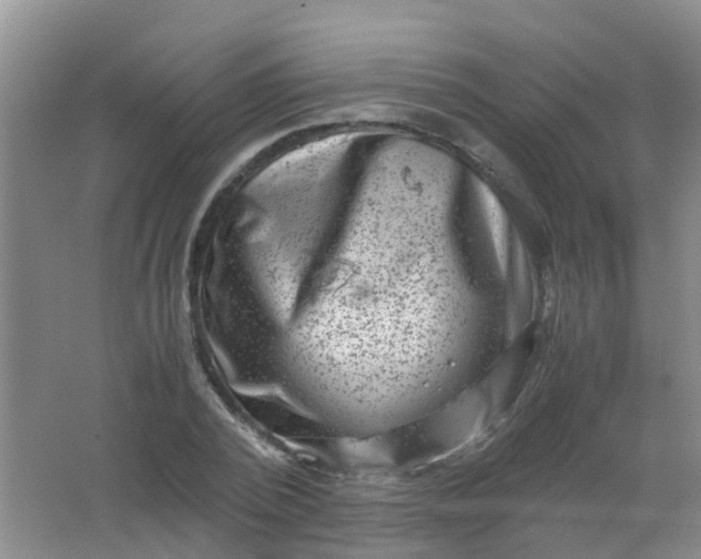 X0000062130784200512231437