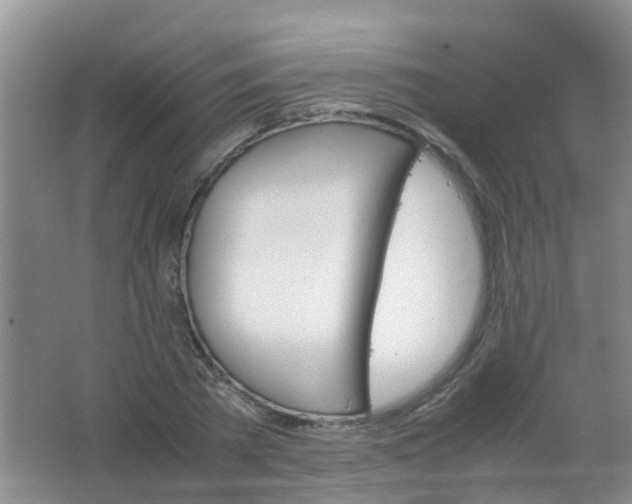 X0000062130785200512231437