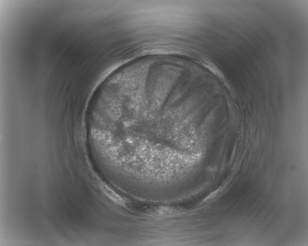 X0000062130787200512231436