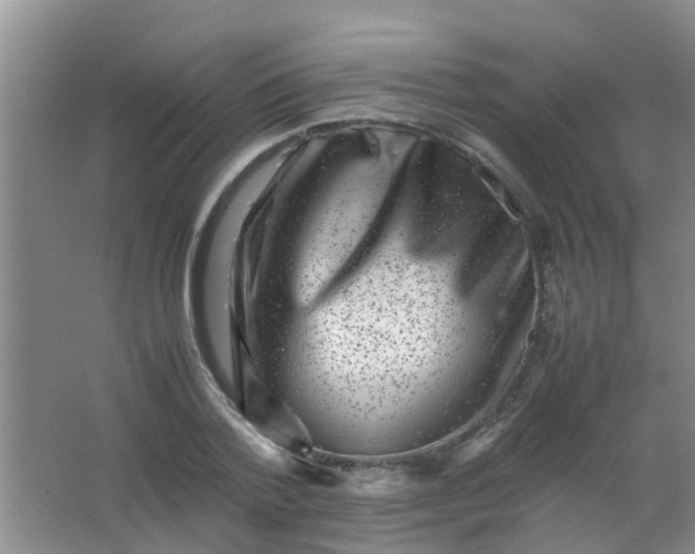 X0000062130788200512231436