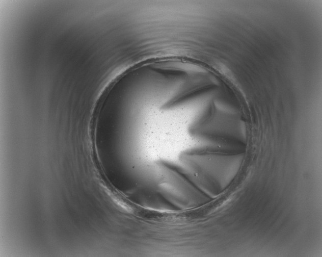 X0000062130789200512231436