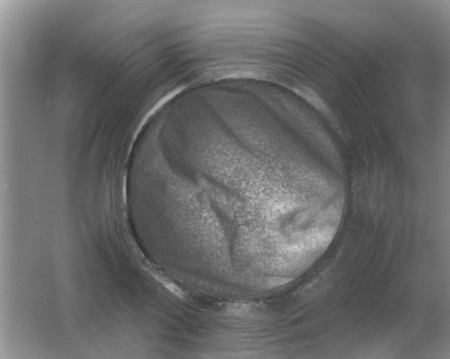 X0000062130790200512231436