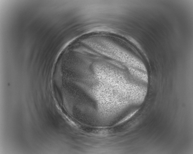 X0000062130791200512231436