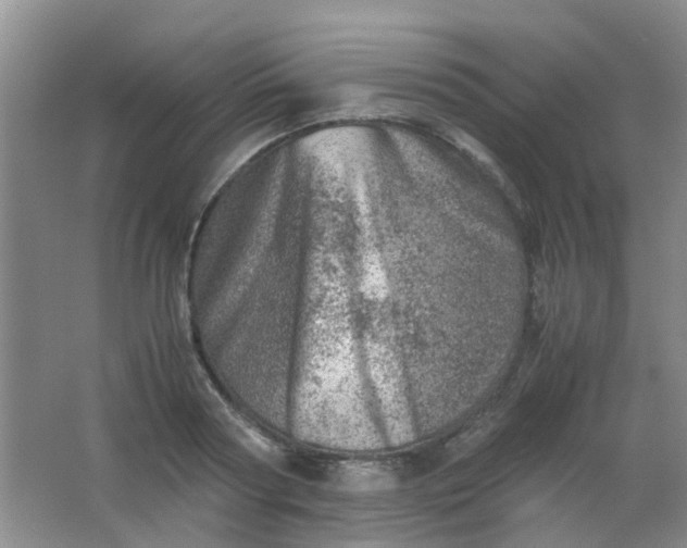 X0000062130794200512231436