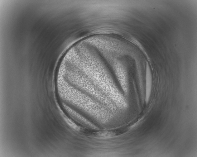 X0000062130795200512231436