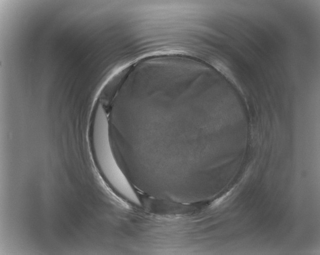 X0000062130797200512231436