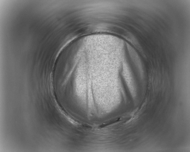 X0000062130798200512231436