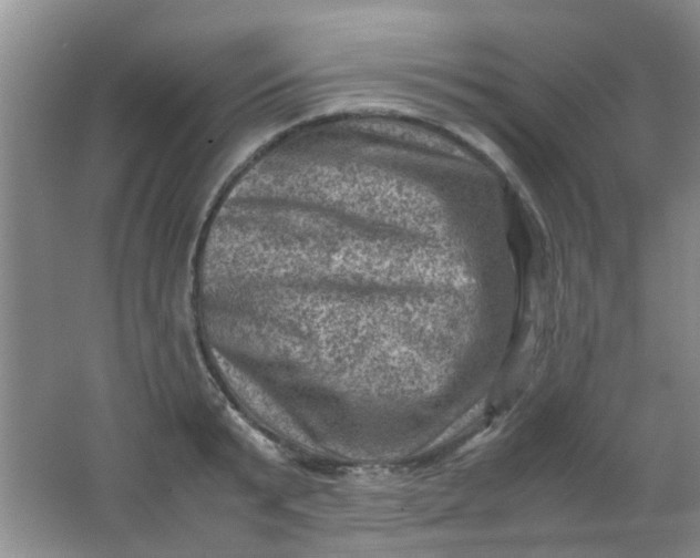 X0000062130799200512231436