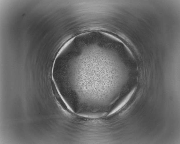 X0000062130801200512231436