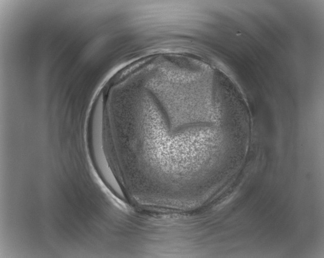 X0000062130803200512231436