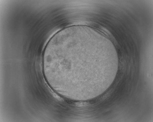 X0000062130804200512231436