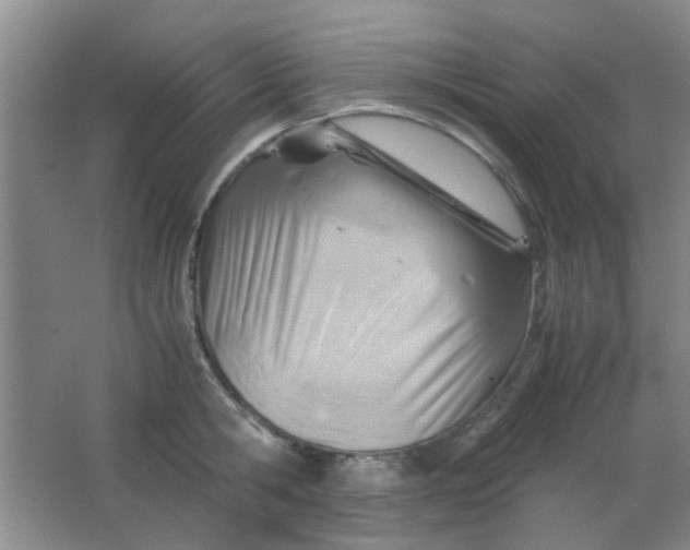 X0000062130806200512231436