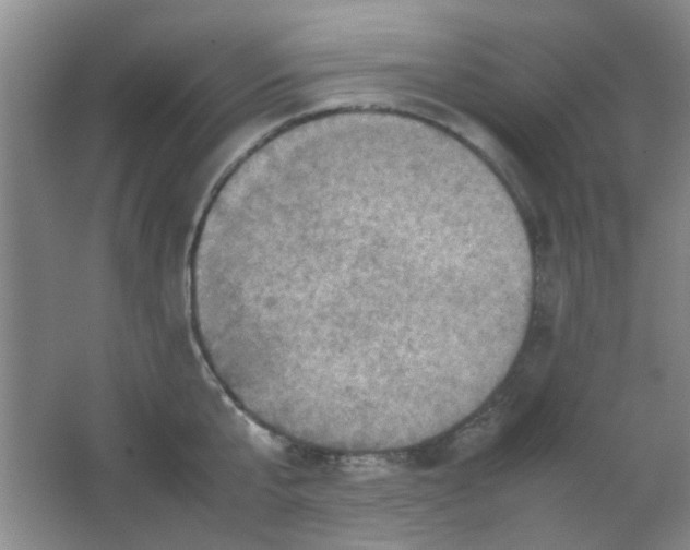 X0000062130807200512231436