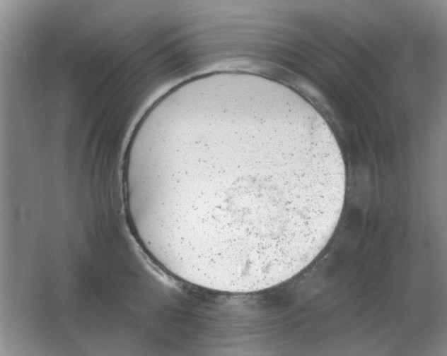 X0000062130808200512231436