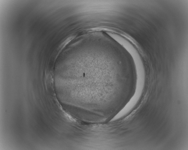 X0000062130809200512231436