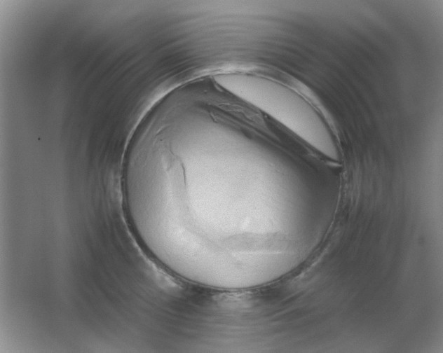 X0000062130810200512231436