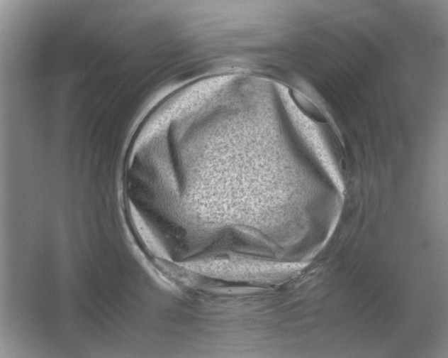 X0000062130811200512231436