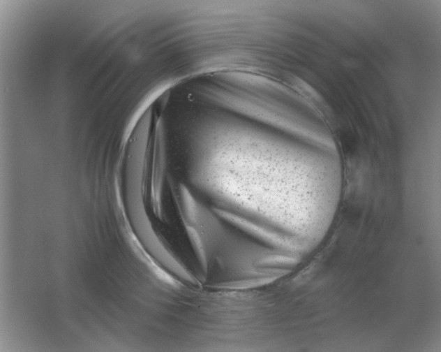 X0000062130812200512231436