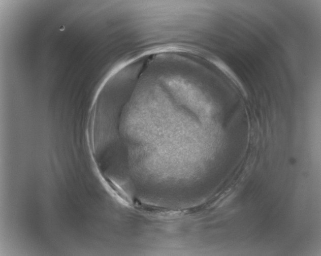 X0000062130813200512231436