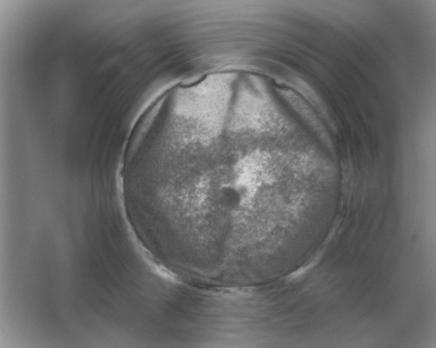 X0000062130814200512231436