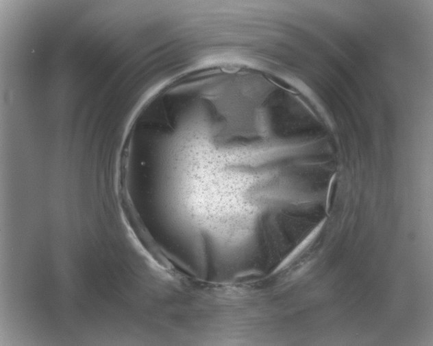 X0000062130815200512231436