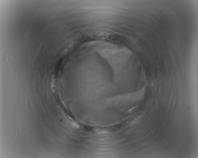 X0000062130818200512231435