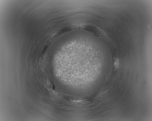 X0000062130819200512231435