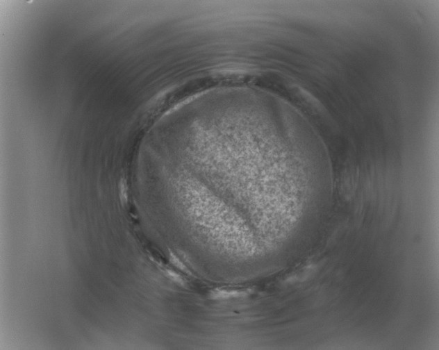 X0000062130821200512231435