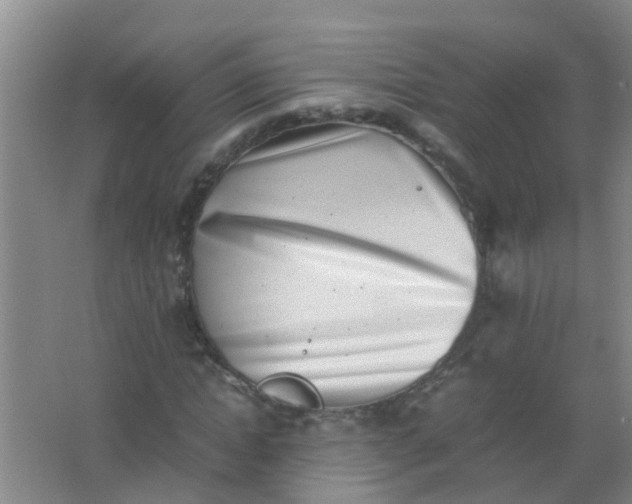 X0000062130822200512231435