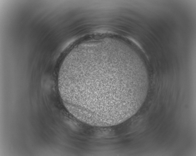 X0000062130823200512231435