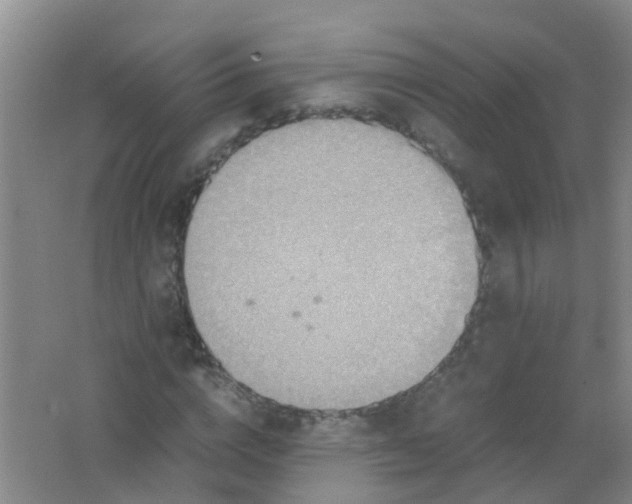 X0000062130824200512231435