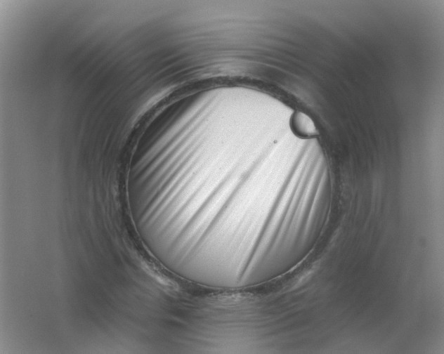 X0000062130826200512231435