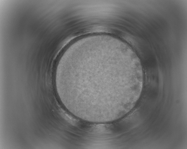 X0000062130828200512231435