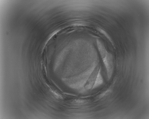 X0000062130829200512231435